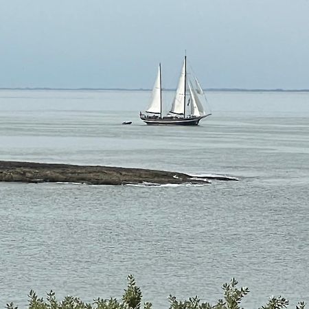 Chambre Sur La Falaise De Pontaillac ヴォー・シュル・メール エクステリア 写真